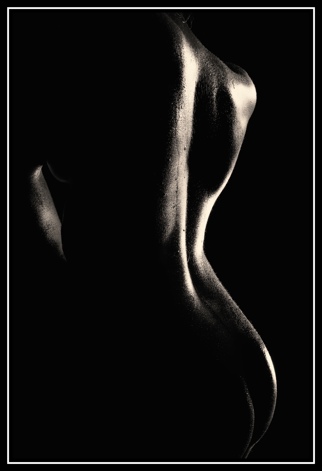 Lb   01   1275web